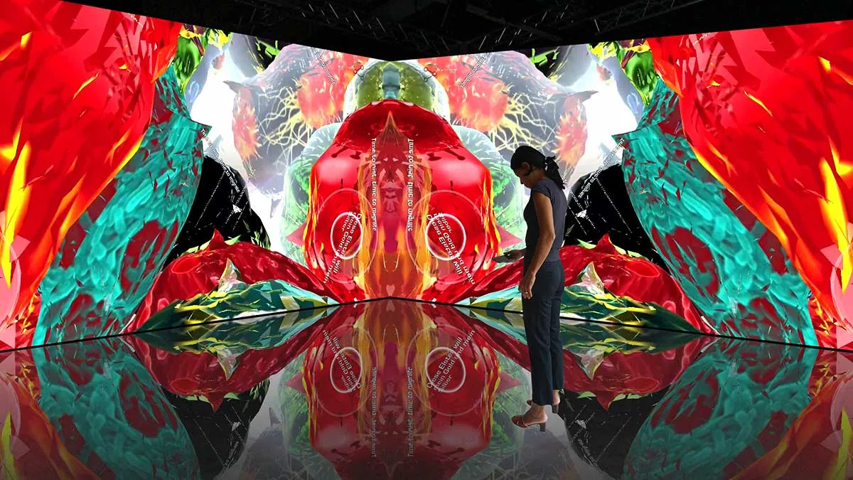 performance art installation museum