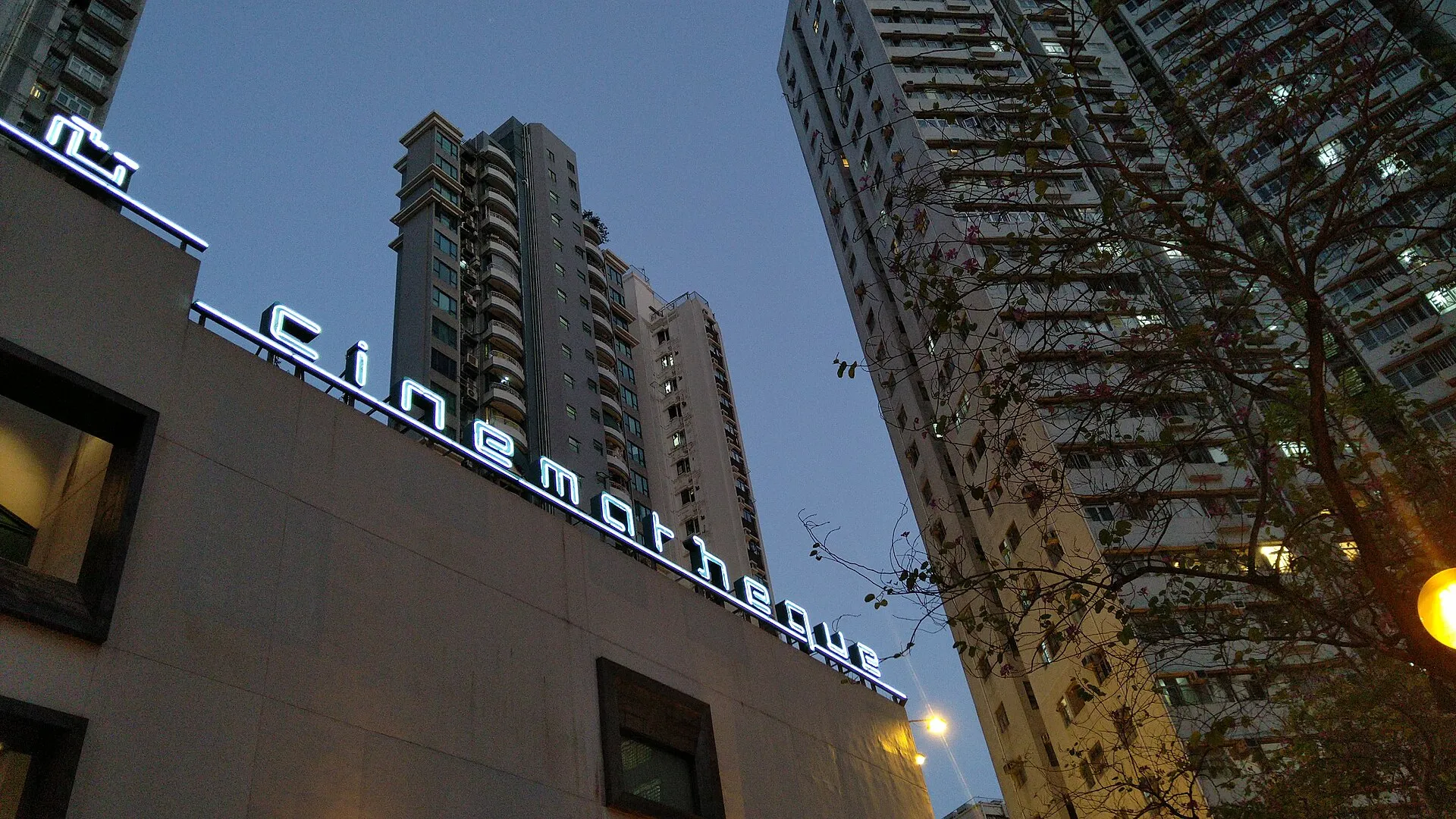 קהל צופה בקלאסיקת קולנוע משוחזרת באולם סינמטק